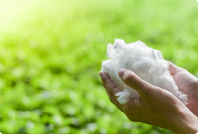 Bông cotton trên thị trường càng ngày càng nhiều hàng fake